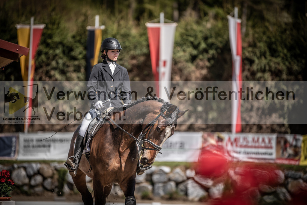 DSC_0314 | equestrian-live-com