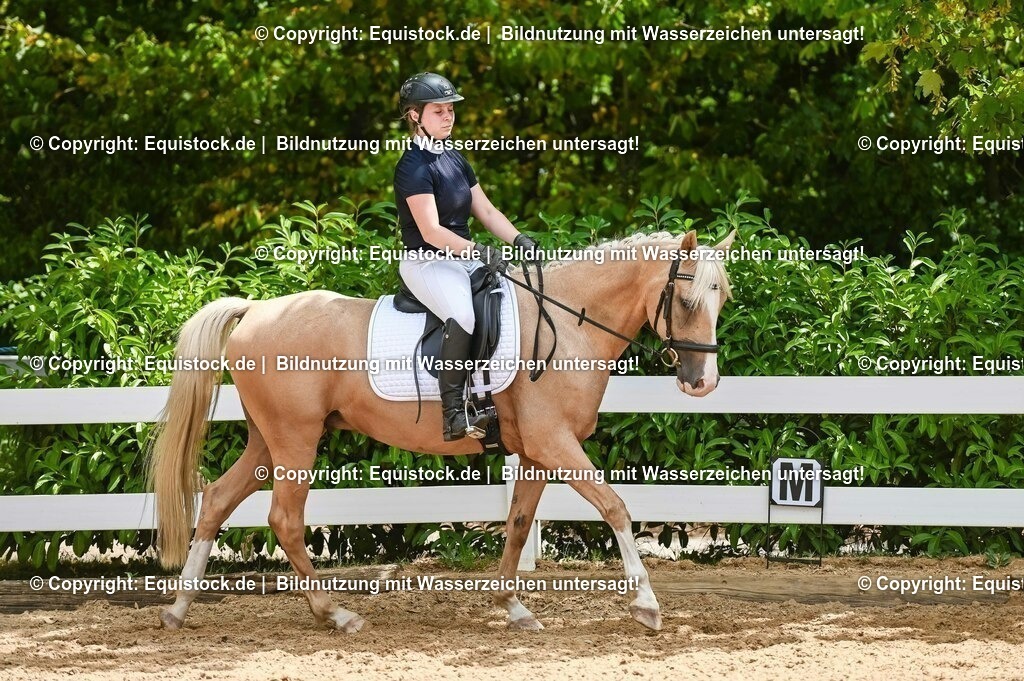 20230715_09_Dressur-WB_0543 | equistock