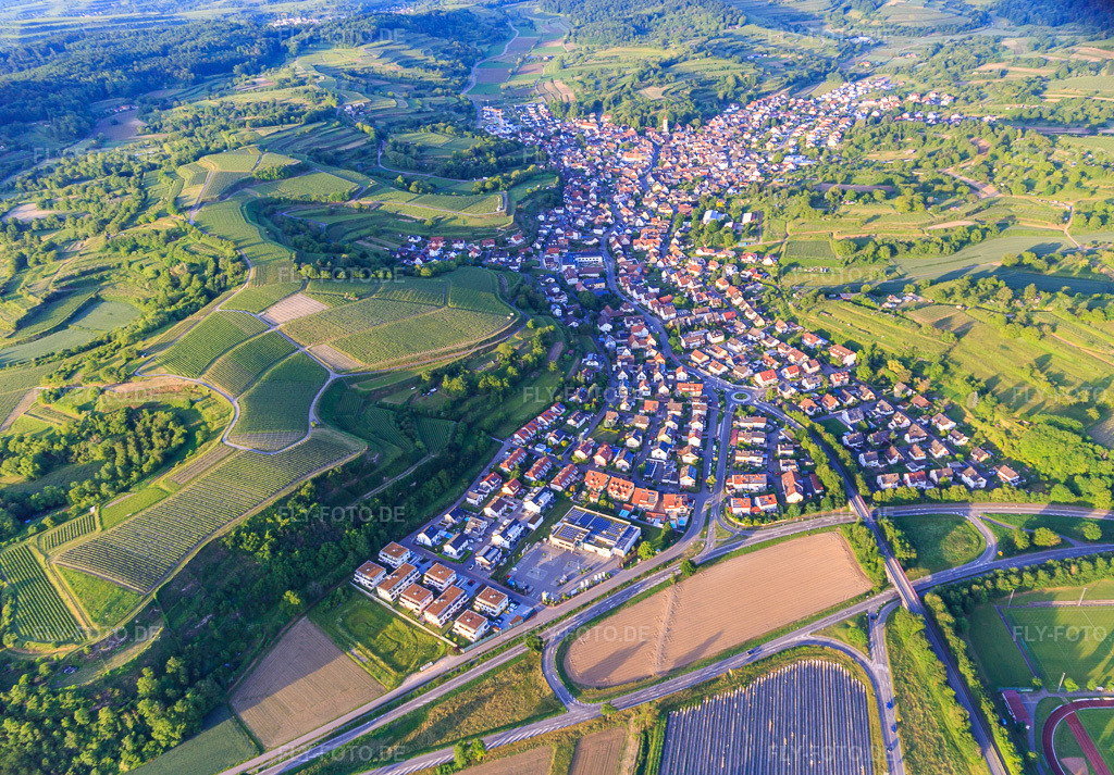 Luftbild: Winzerortansicht aus Südwesten in Malterdingen im Bundesland Baden-Württemberg in Deutschland. Foto: IMG_147427.jpg vom 29.05.2025 durch Werner Riehm/FLY-FOTO.de