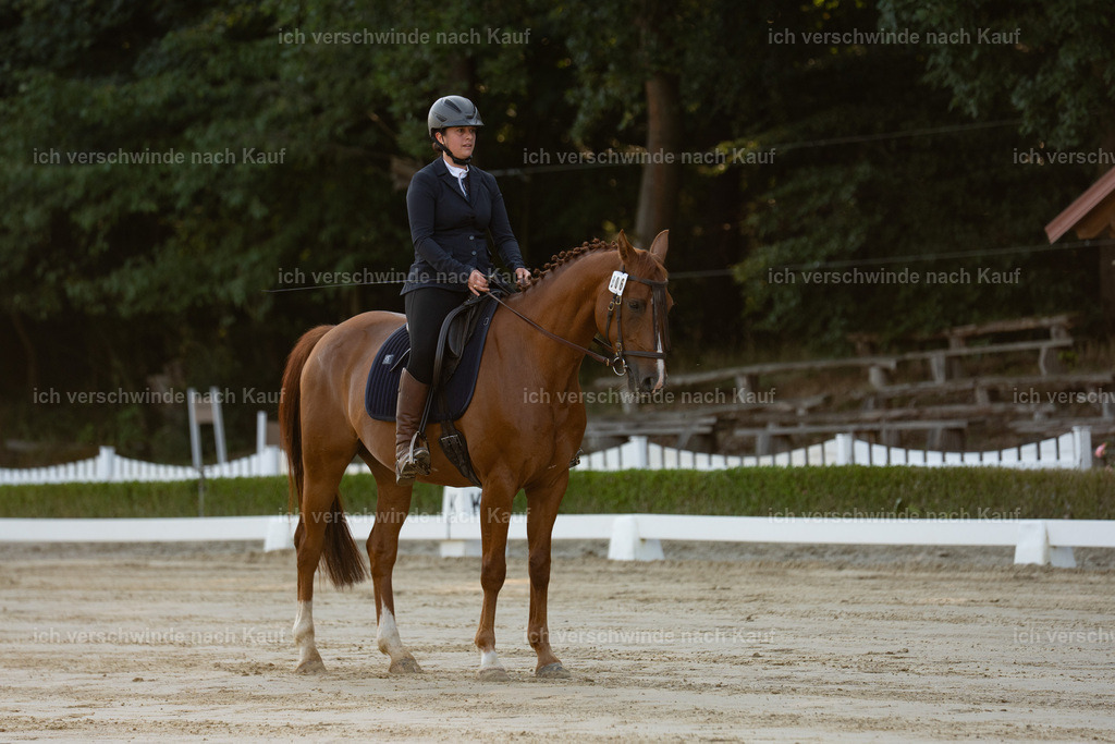 WA_DR_64_SinaFilmArt_IN00007 | working equitationturnier fotograf videograf stoibphotography marixx film working equitation deutschland reitsport turnierfotografie eventfotografie equestrian events