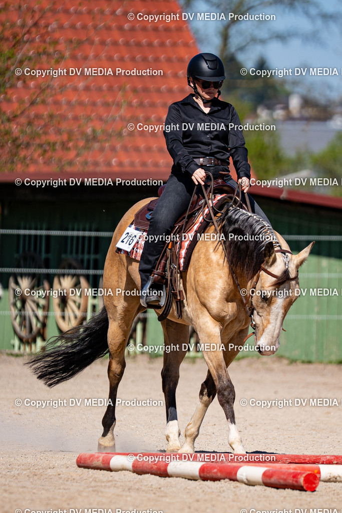 Balingen Tag 1-945 | dv-media-shop - Realisiert mit Pictrs.com