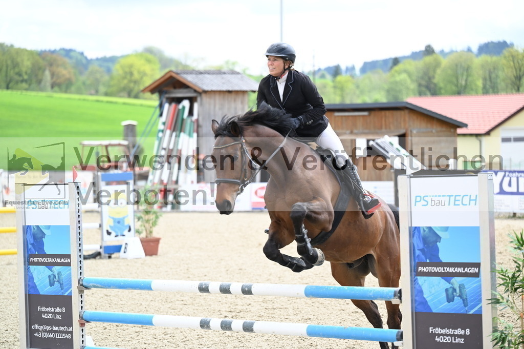 DSC_0775 | equestrian-live-com
