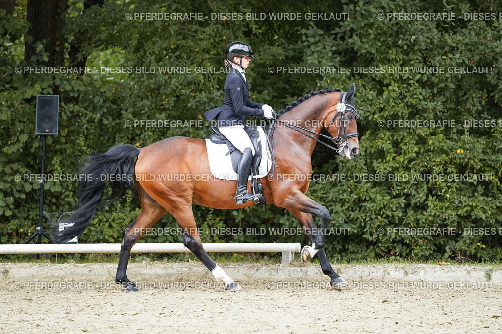 DSC07795 | Pferdegrafie