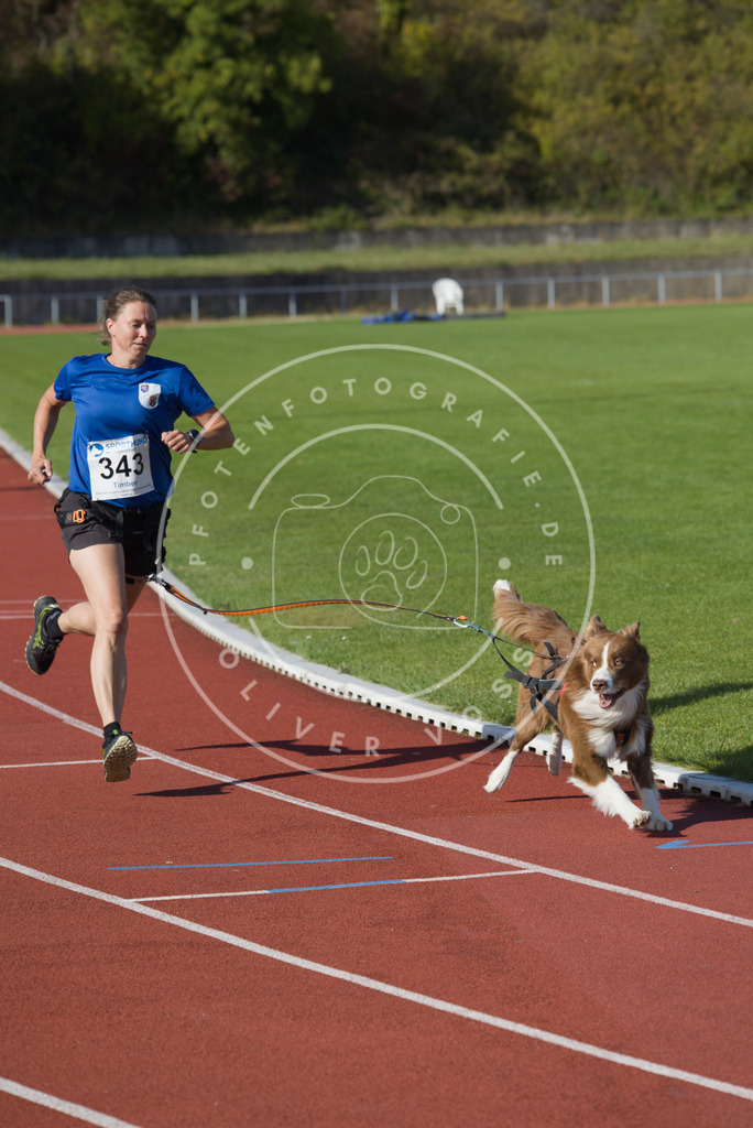 0L8A9266 | Hundefotografie, Tierfotograf, Pfotenfotografie, Fotoshooting Hund, Hunde Portrait, Hundesport, Hundeportraits, Heideshooting, Hunde, Sportfotograf, Hundefotograf, Turnierhundsport, THS,  - Realisiert mit Pictrs.com