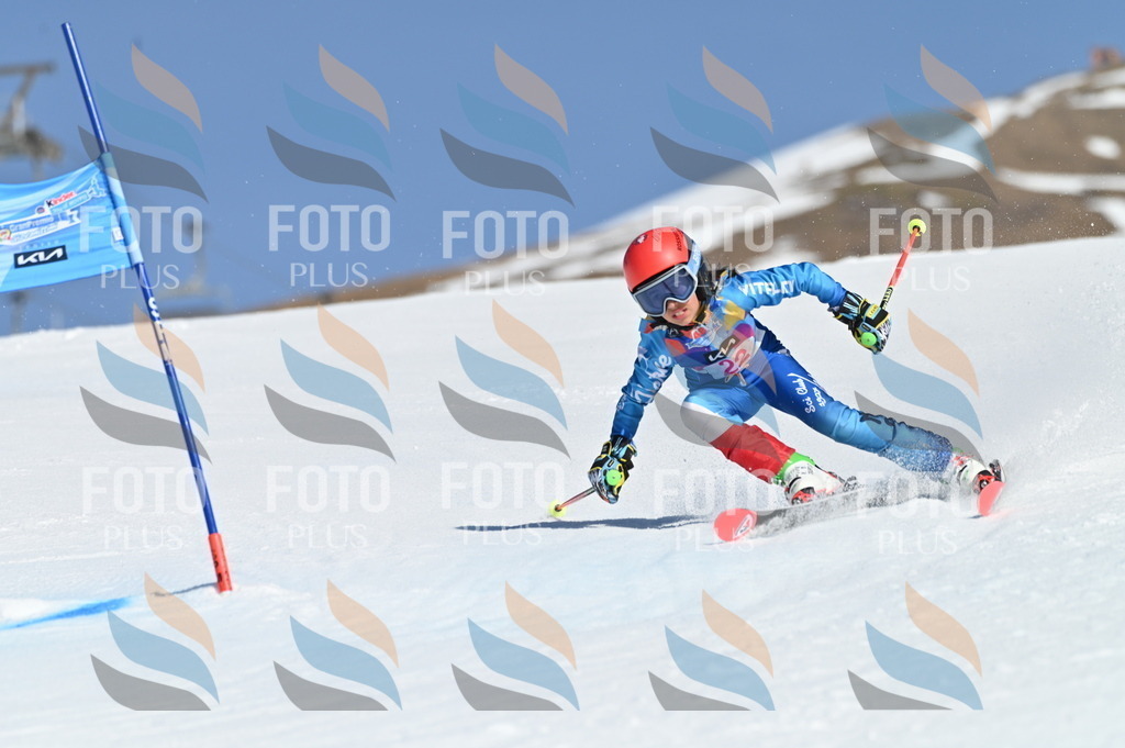 BGV_7978 | holidayphoto