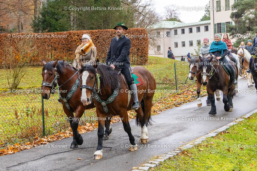 LL25-129 | foto-bettina-krinner - Realisiert mit Pictrs.com