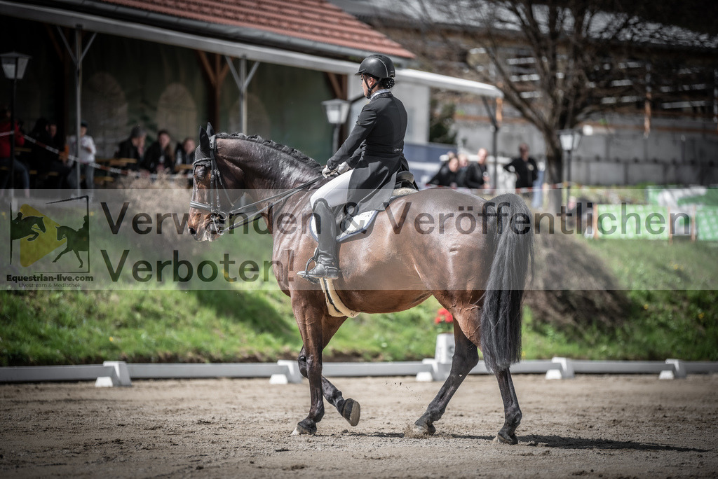 DSC_2931 | equestrian-live-com