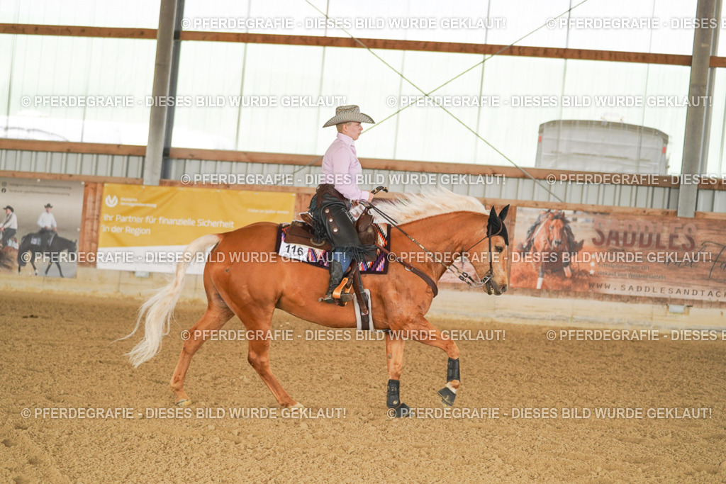 DSC02909 | Pferdegrafie