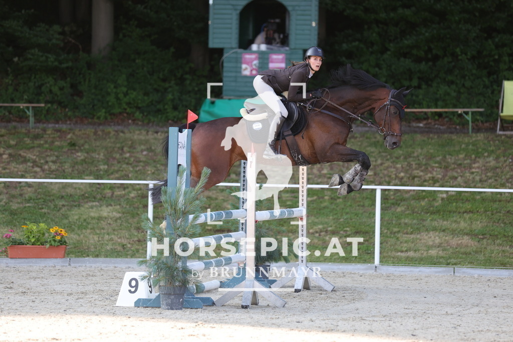 0P6A6657 | Willkommen bei Brunnmayr - Design & Fotografie – Ihrem Spezialisten für Reitturniere und Pferdeveranstaltungen in Oberösterreich, Salzburg und Bayern! Seit über 17 Jahren sind wir leidenschaftlich dabei.