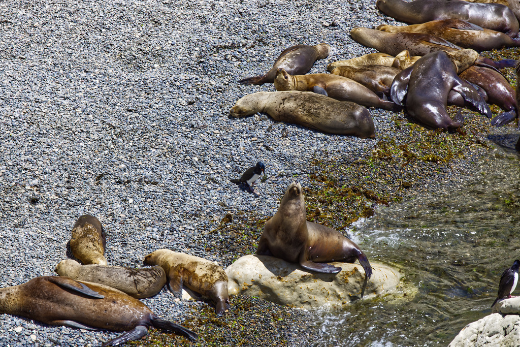 1H5A2061 | ansichtssache