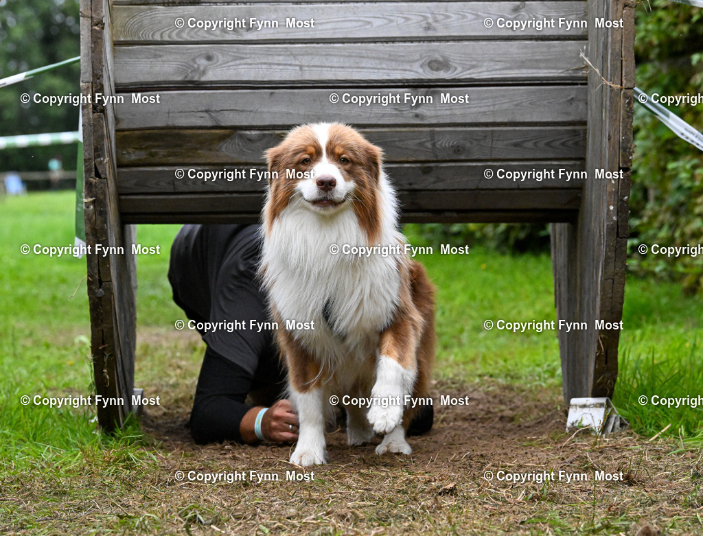 DSC_3856 | Hallo und herzlich Willkommen auf meiner Shop-Seite Fynn Most.

Ich wünsche Dir viel Spaß beim stöbern durch die Bilder, wenn Du Fragen hast oder Bilder vermisst, kannst du mir gerne eine Nachricht schreiben. - Realisiert mit Pictrs.com