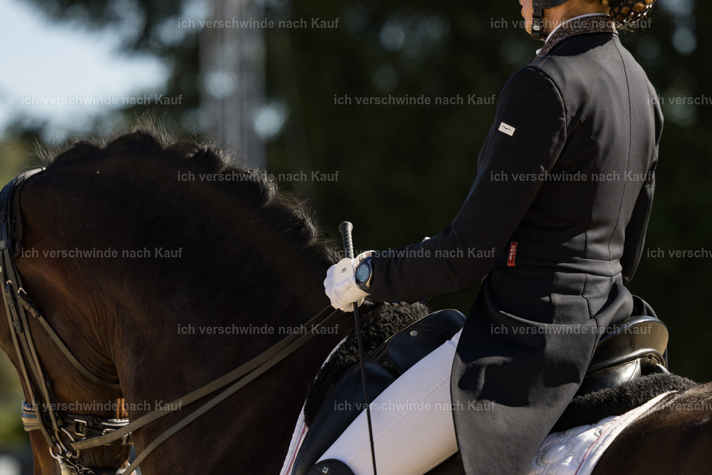 FHC2026_P07_88_17608 | working equitationturnier fotograf videograf stoibphotography marixx film working equitation deutschland reitsport turnierfotografie eventfotografie equestrian events