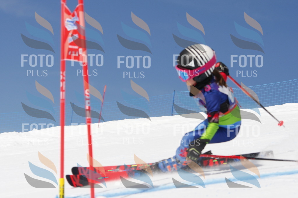 _W1G1036 | holidayphoto