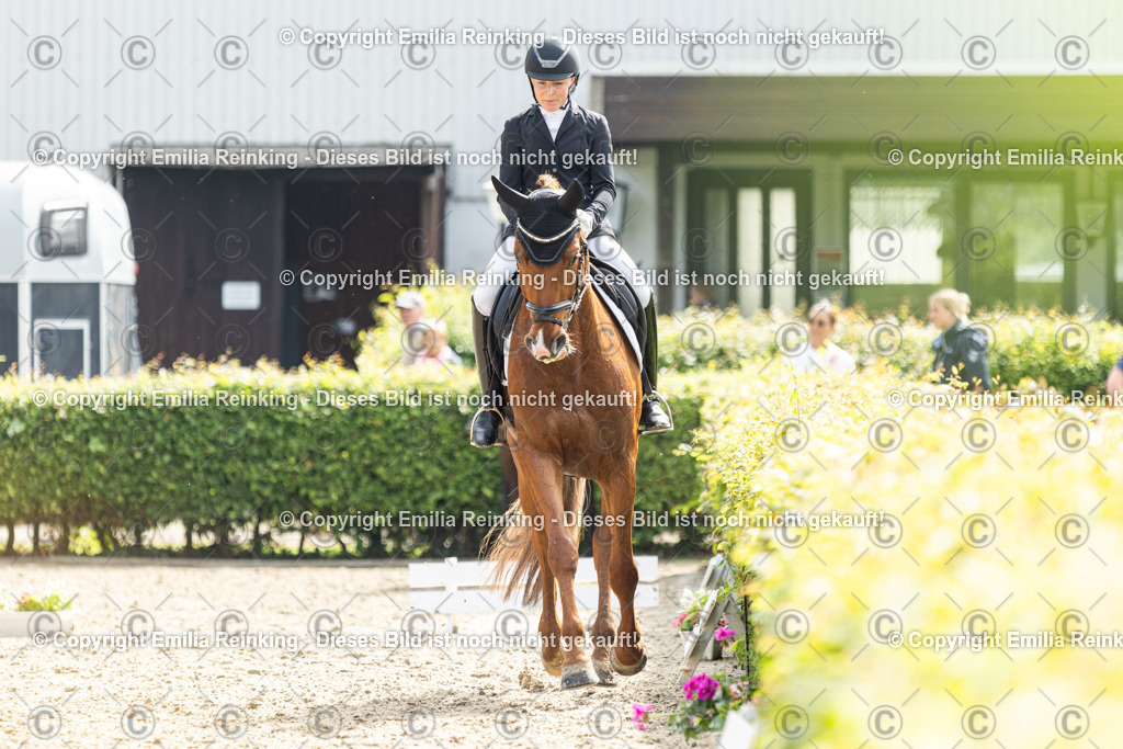 CL5A5547 | Emilia Reinking Fotografie - Realisiert mit Pictrs.com