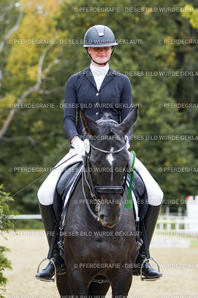 DSC02629 | Pferdegrafie