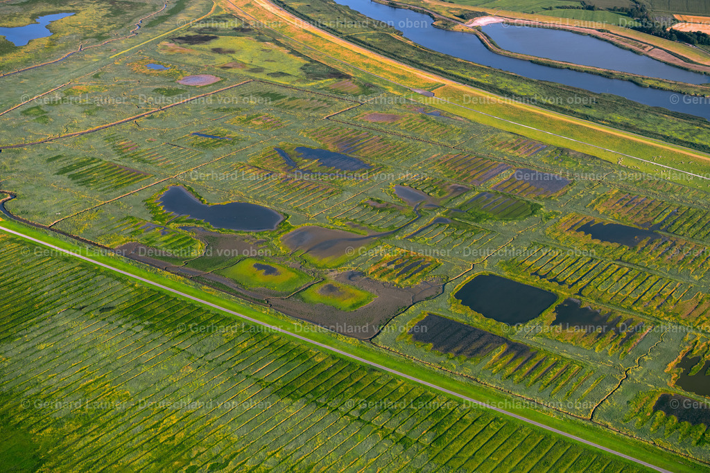 4038457 | Leyhörner Sieltief GREETSIEL 07.08.2020 Grasflächen- Strukturen einer Feld- und Wiesen- Landschaft an der Küste bei Greetsiel im Bundesland Niedersachsen, Deutschland. // Grass area structures of a salt marsh landscape in Greetsiel in the state Lower Saxony, Germany. Foto: Gerhard Launer