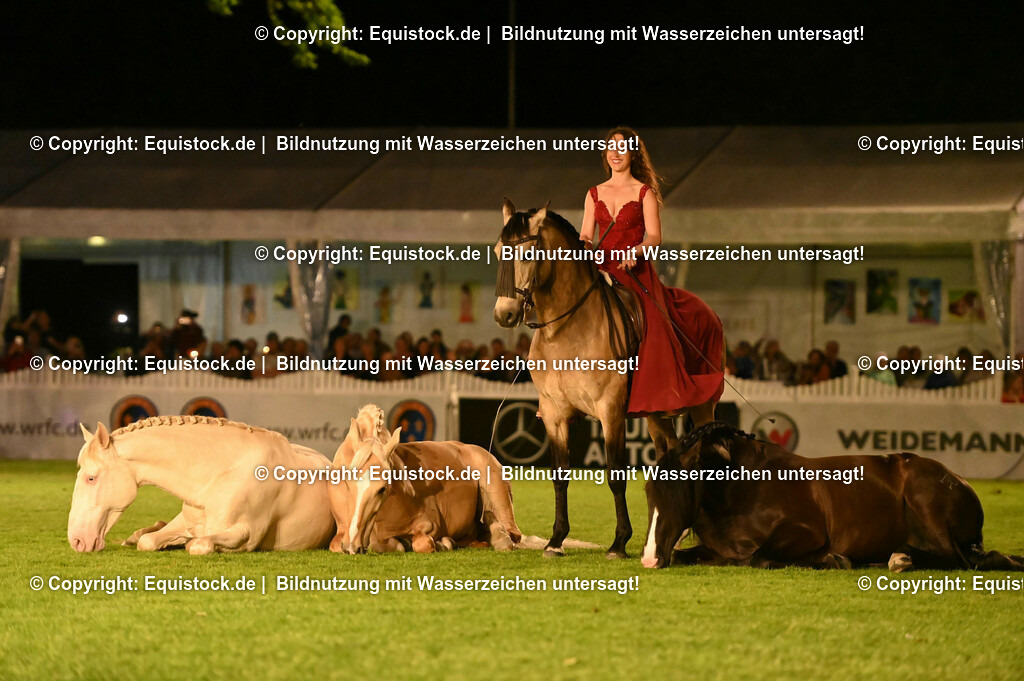 20230526_Pferdenacht_1532 | equistock