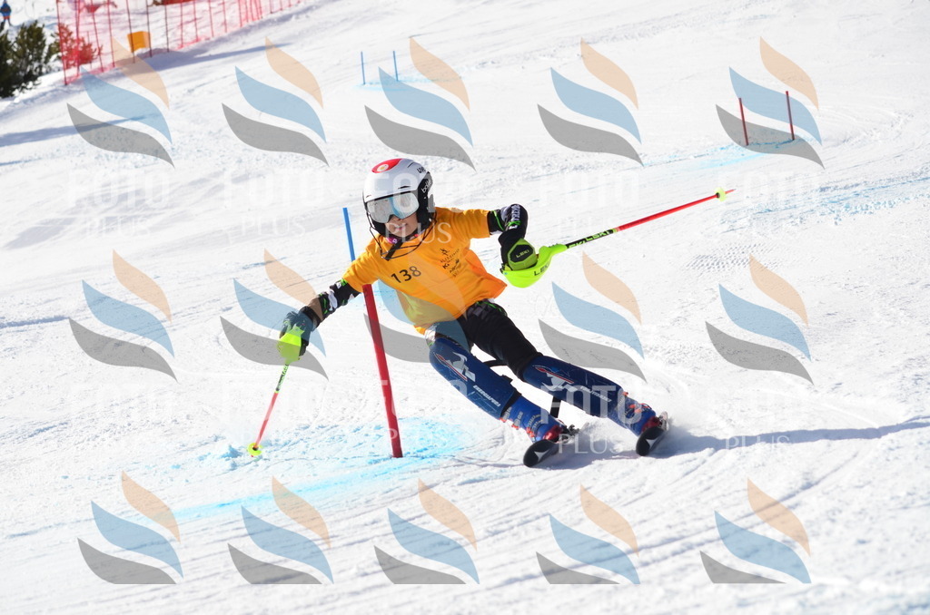 C6512 | holidayphoto