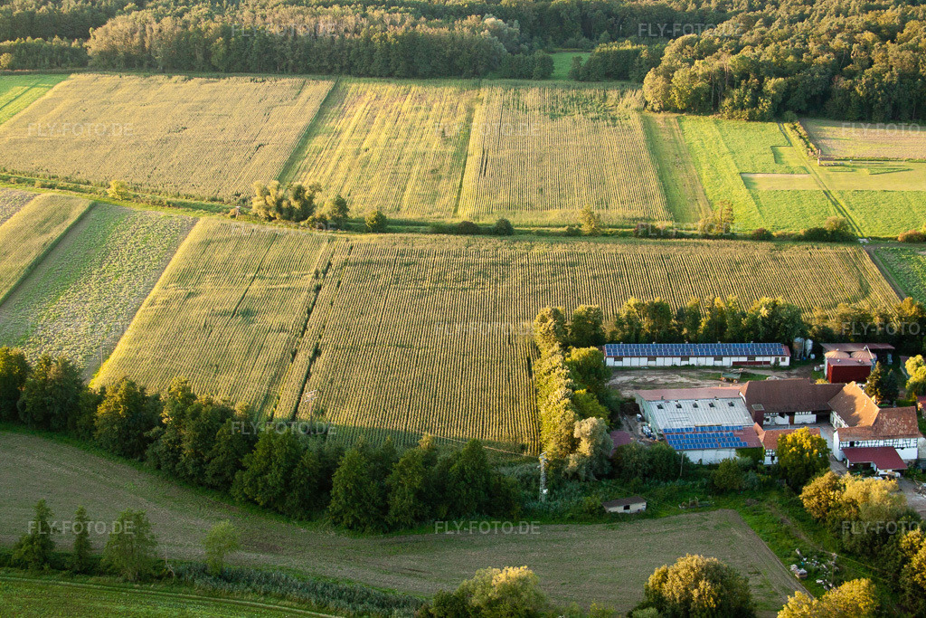 Luftbild: Leistenmühle in Erlenbach bei Kandel im Bundesland Rheinland-Pfalz in Deutschland. Foto: IMG_32811.jpg vom 01.09.2010 durch Werner Riehm/FLY-FOTO.de
