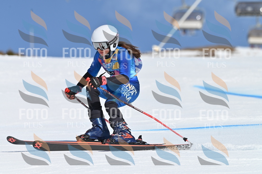 BGV_8508 | holidayphoto