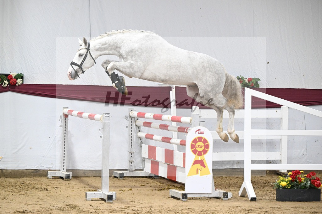 Kat-Nr. 86 Zirocco Blue x Askari_Daniela Kastner-Schoepe_47252900 | hf-fotografie - Realisiert mit Pictrs.com