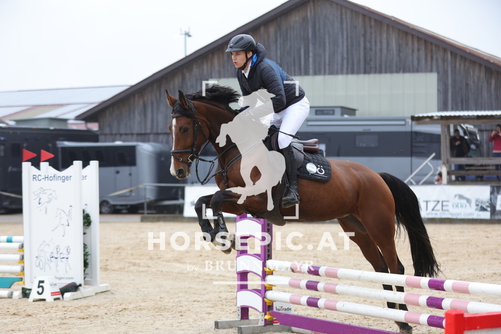 0P6A0612 | Willkommen bei Brunnmayr - Design & Fotografie – Ihrem Spezialisten für Reitturniere und Pferdeveranstaltungen in Oberösterreich, Salzburg und Bayern! Seit über 17 Jahren sind wir leidenschaftlich dabei.