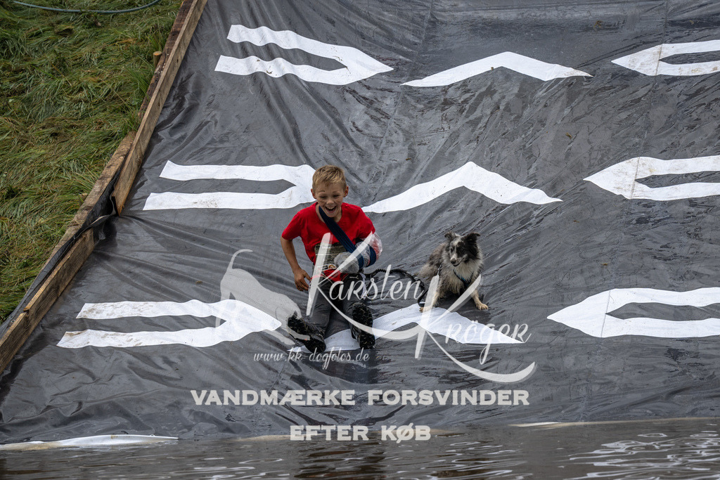 1338_ZZ92694 | kk-dogfotos