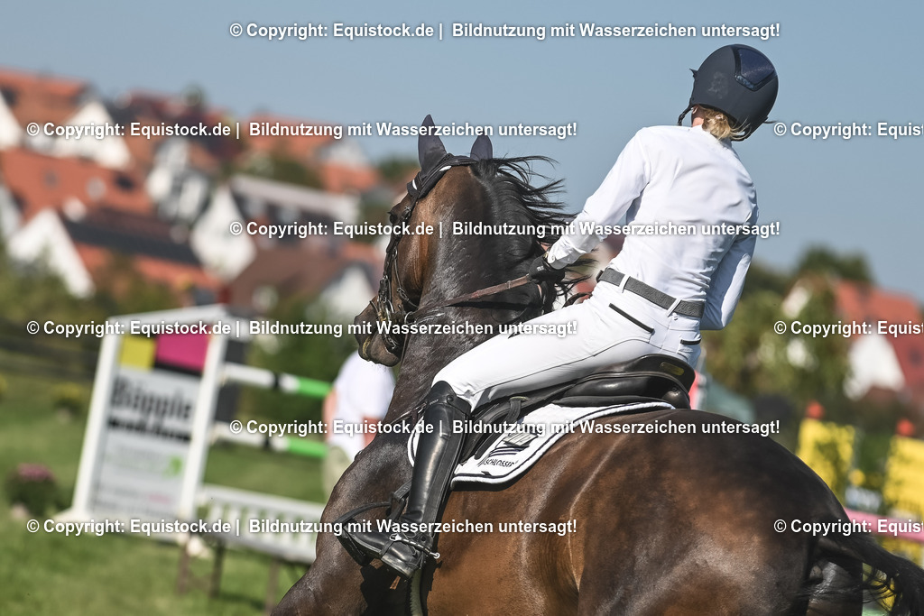 20230908_24_Springen_M_0064 | equistock