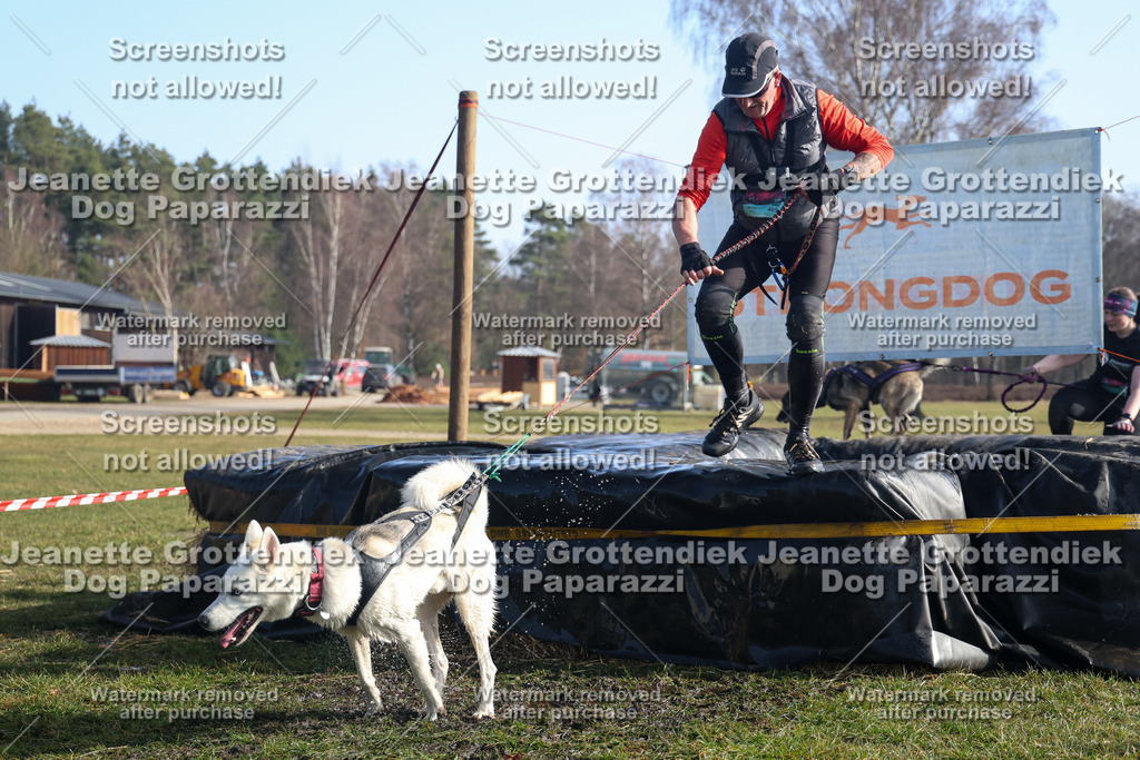 Dog Paparazzi - Strongdog North Mrz26-1234 | Dog Paparazzi Jeanette Grottendiek Fotografie & Videografie - Realisiert mit Pictrs.com