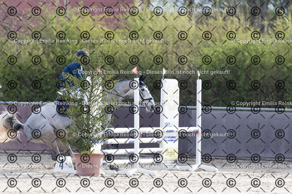 CL5A6733 | Emilia Reinking Fotografie - Realisiert mit Pictrs.com