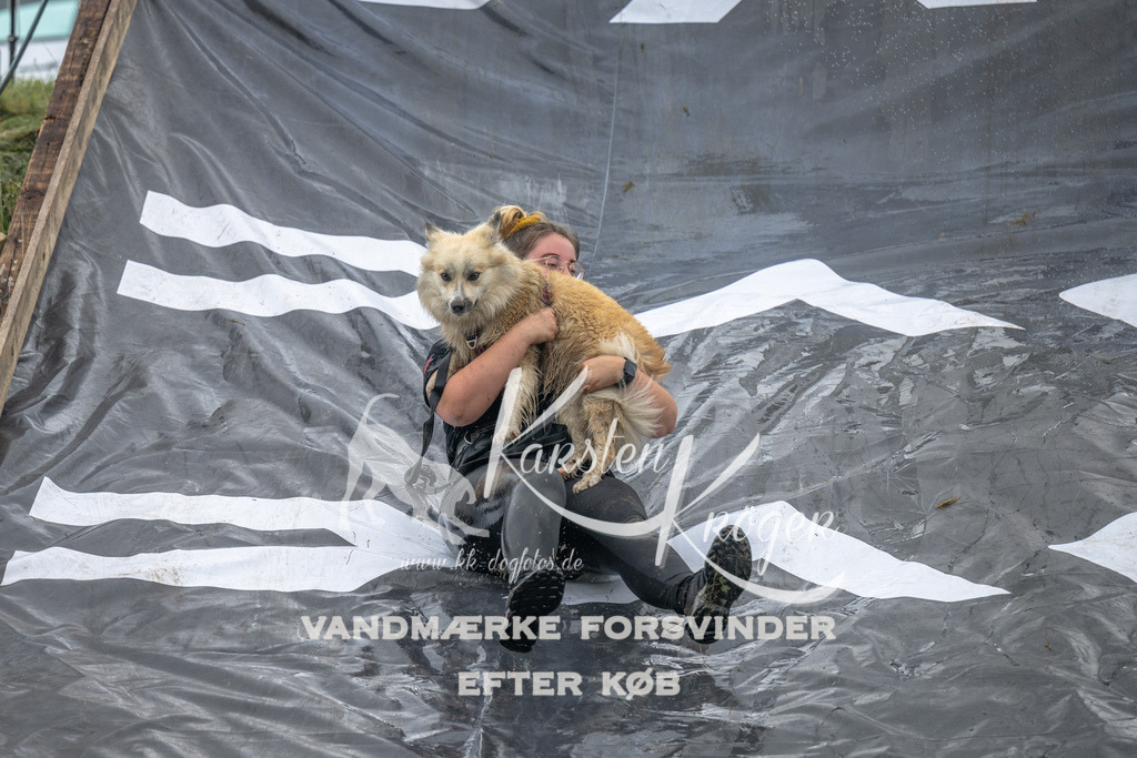 1442_ZZ91251 | kk-dogfotos