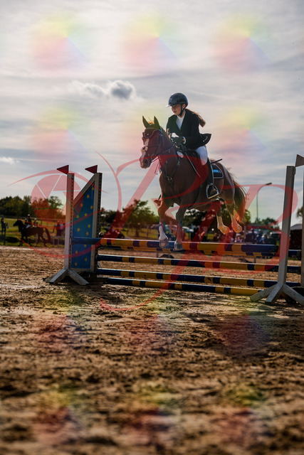 2026_10_03_Siefer-Hof_155745_Z63_10772443 | Professionelle Reitsport-, Turnier- und Eventfotografie von Robert Broda. Galerien mit ausgewählten und bearbeiteten Bildern direkt online ansehen und bestellen.