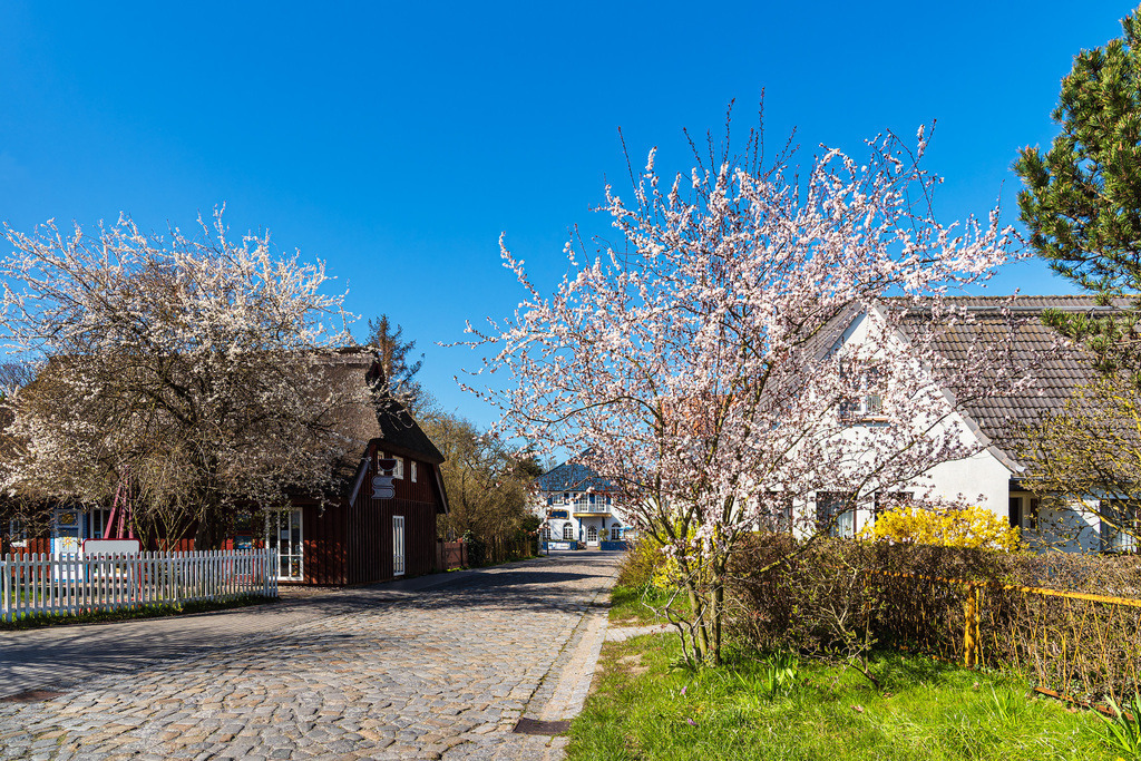Straße und Häuser in Zingst auf dem Fischland-Darß | Straße und Häuser in Zingst auf dem Fischland-Darß.
