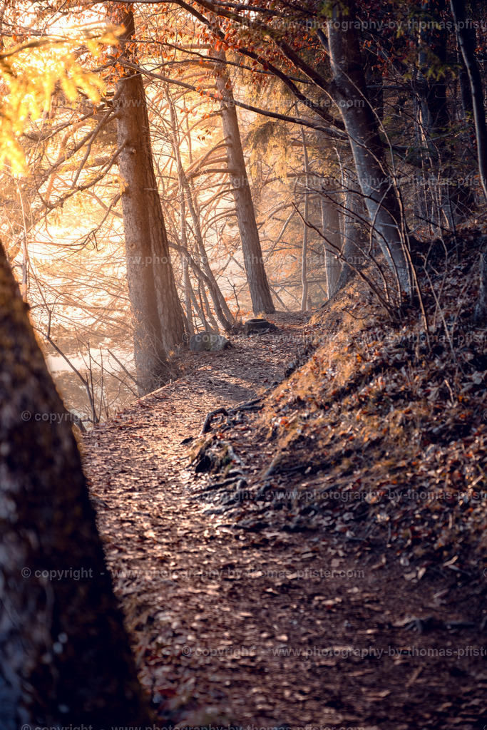 Am Reintaler See copyright  Thomas Pfister-1 | PHOTOGRAPHY BY THOMAS PFISTER