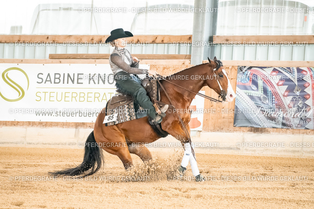 DSC02837 | Pferdegrafie