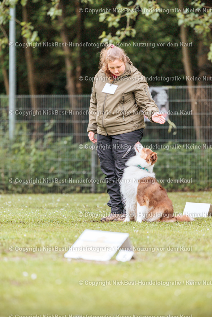 RO-Blumenthal-2026-Nickbest-Hundefotografie-1235 | Dein Hund! Dein Moment! Deine Erinnerungen! Hundefotografie in Bremen Blumenthal. Ich fange die besonderen Momente deines Vierbeiners ein – ob Indoor mit Blitzanlage oder in der freien Natur. Sicher dir dein Moment und dein Termin für eure Erinnerungen.