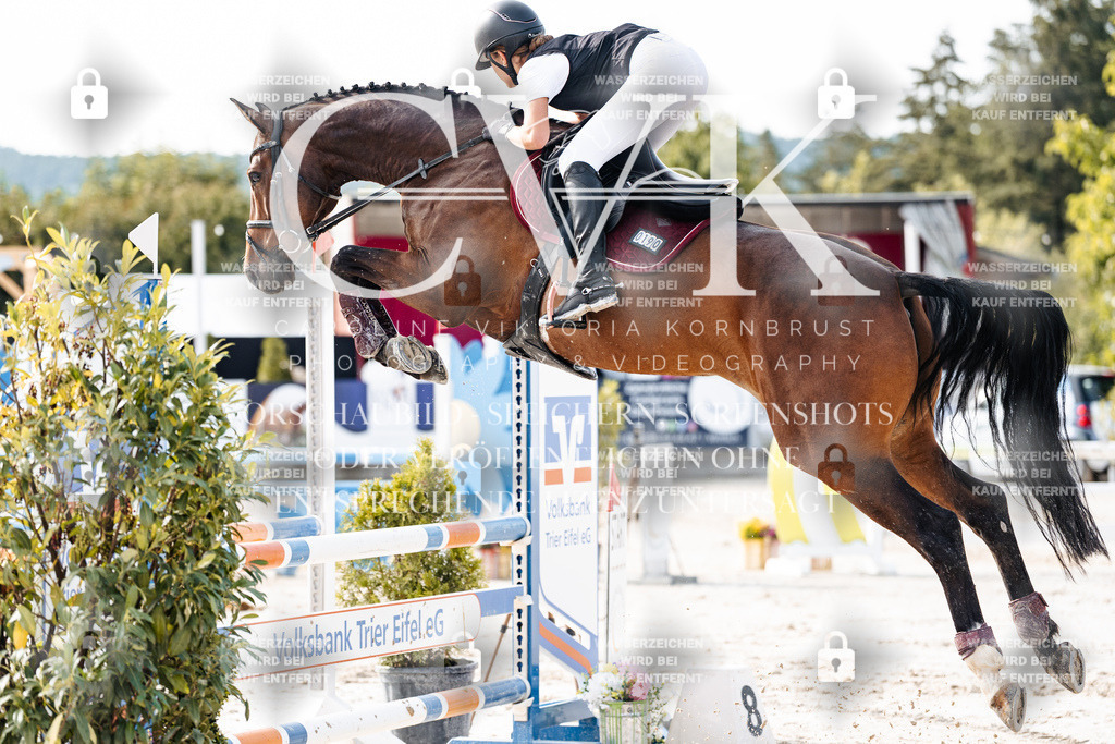 CK905832 | Turnierfotografie Pferdefotografie Trier Rheinland-Pfalz Pferdesport Reitsport Tierfotografie Sportfotografie Pferdevideo Pferdevideografie Equestrianvideography equestrianphotography  - Realisiert mit Pictrs.com