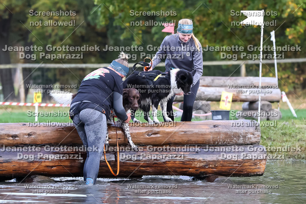 Dog Paparazzi - Strongdog 10-25-6704 | Dog Paparazzi Jeanette Grottendiek Fotografie & Videografie - Realisiert mit Pictrs.com