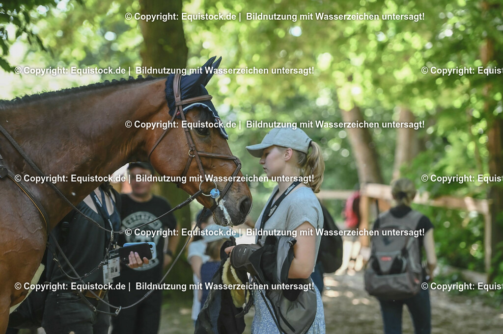 20230529_Impressionen_0063 | equistock