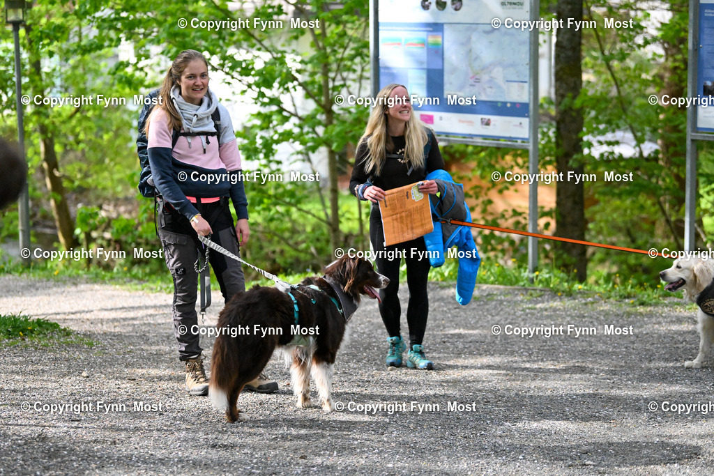DSC_0996 | Hallo und herzlich Willkommen auf meiner Shop-Seite Fynn Most.

Ich wünsche Dir viel Spaß beim stöbern durch die Bilder, wenn Du Fragen hast oder Bilder vermisst, kannst du mir gerne eine Nachricht schreiben. - Realisiert mit Pictrs.com