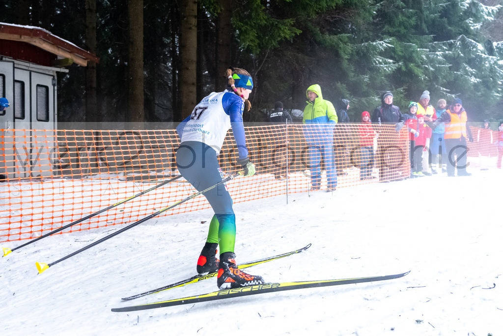 Thür. Landesmeisterschaften | Scheibe-Alsbach am 29. Januar 2022