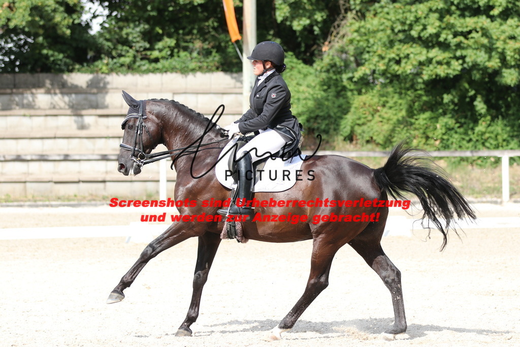 IMG_6789 | lmwpictures - Realisiert mit Pictrs.com