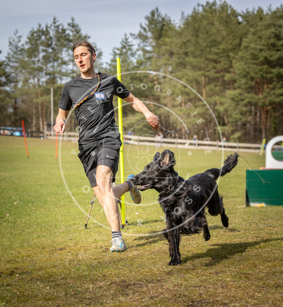 Pfotenfotografie_DV3A0444 | Hundefotografie, Tierfotograf, Pfotenfotografie, Fotoshooting Hund, Hunde Portrait, Hundesport, Hundeportraits, Heideshooting, Hunde, Sportfotograf, Hundefotograf, Turnierhundsport, THS,  - Realisiert mit Pictrs.com