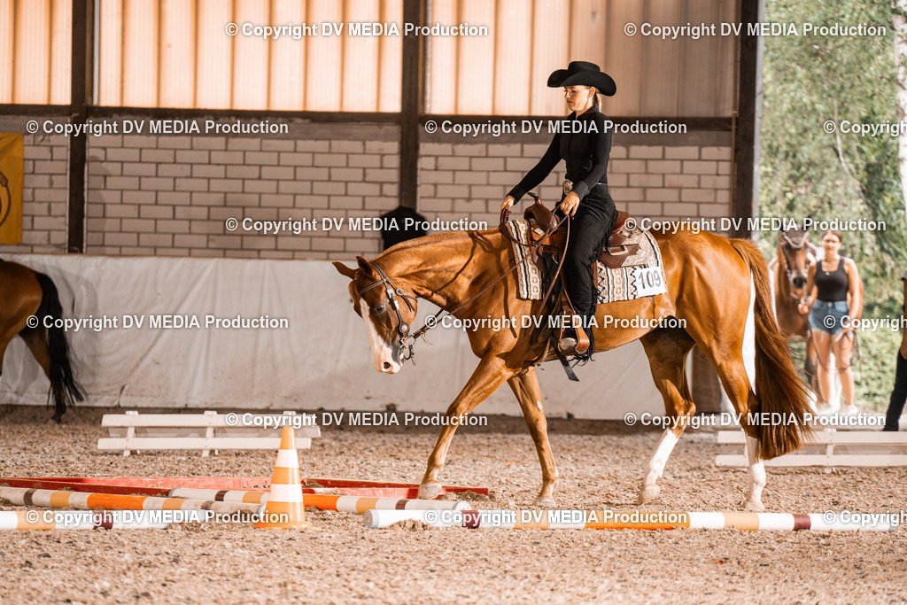 ZH200563 | dv-media-shop - Realisiert mit Pictrs.com