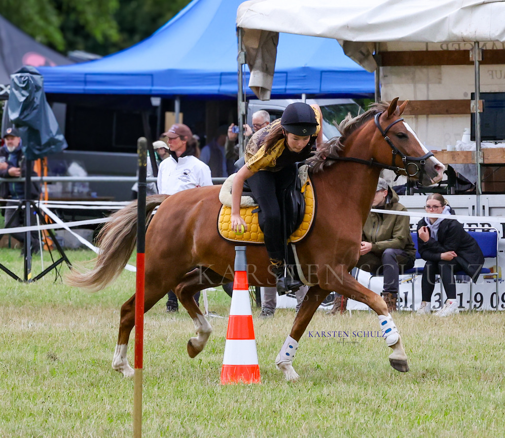 1B3A1617 | Reitsport Reiten