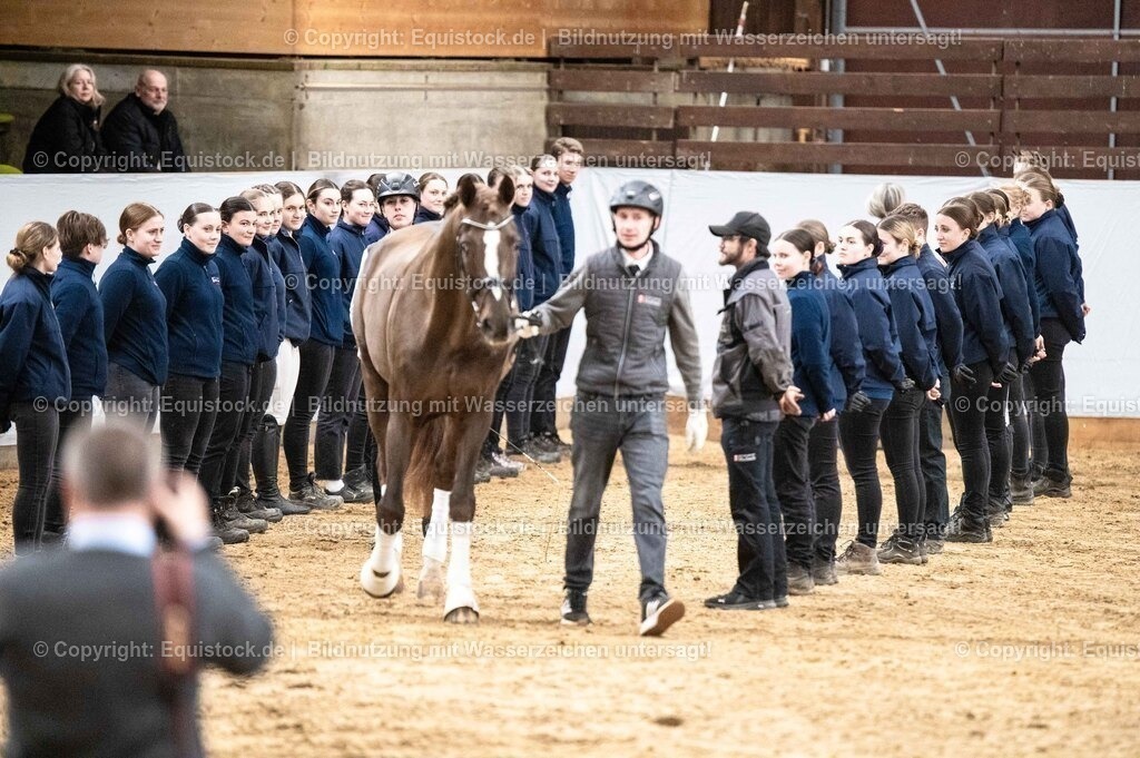 20260307_Hengstvorstellung-Marbach_0525 | equistock