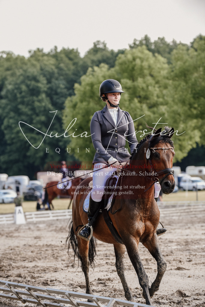 DSC_8385 | Pferde- und Turnierfotografie in Westsachsen. Pferdeportraits, Auftragszeichnungen und intuitive Kunst.