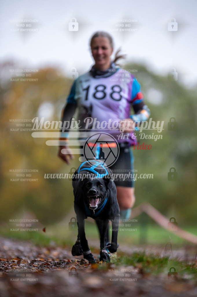DBT_DAKM_SA_4_11_2023_Canicross-111 | PayLife
