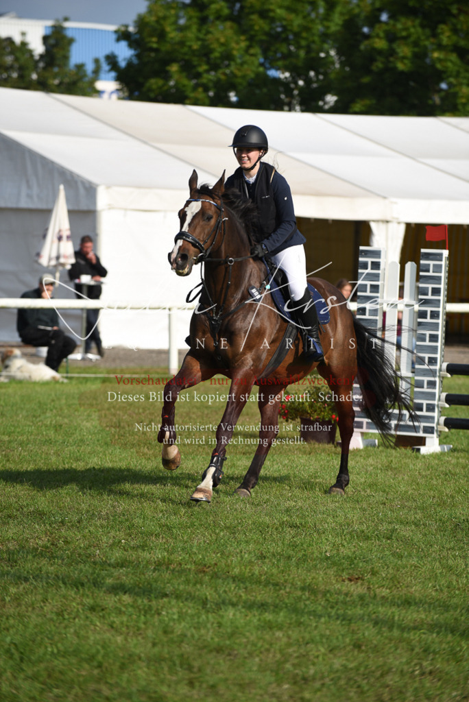 DSC_8632 | Pferde- und Turnierfotografie in Westsachsen. Pferdeportraits, Auftragszeichnungen und intuitive Kunst.