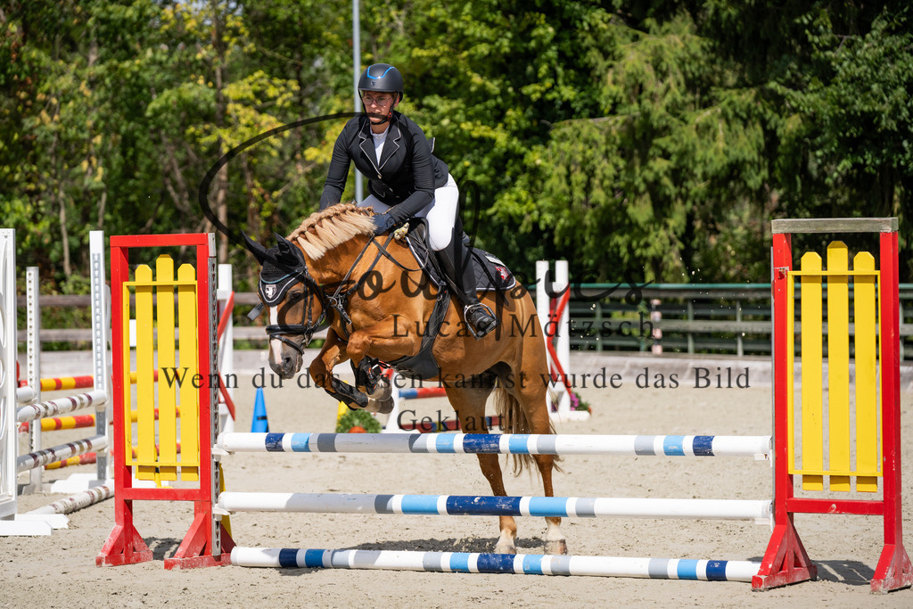 A7V07411 | Turnier/Reitfotograf